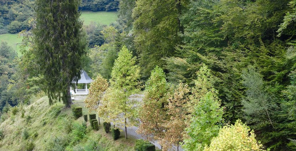 Hotel Des Eaux-Bonnes Εξωτερικό φωτογραφία